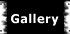 Galerie fotografii, galeria fotografii, przyrodniczej, artystycznej